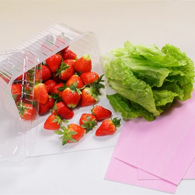 Non-toxic Absorbent Food Water Pads For Meat /Fruit Packaging